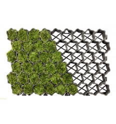 Eko kratki geoSYSTEM S5 max Mocna | Trawa