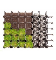 Eko kratka GREEN SYSTEM | Dachy zielone | Trawa