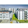 Eko kratka GREEN SYSTEM | Dachy zielone | Trawa