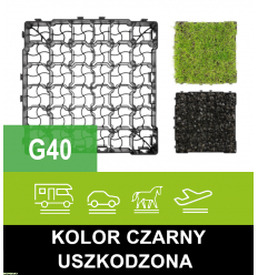Eko kratka geoSYSTEM G40 uszkodzona| Kamień i trawa