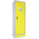 Szafa bezpieczeństwa 6/20 FWF 90 F-SAFE, ognioodporna, typ 90