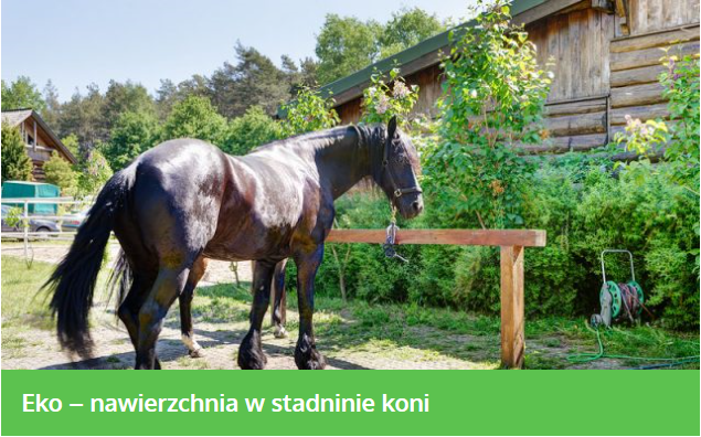eko kratka realizacje