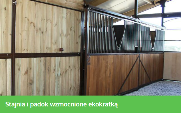 eko kratka realizacje