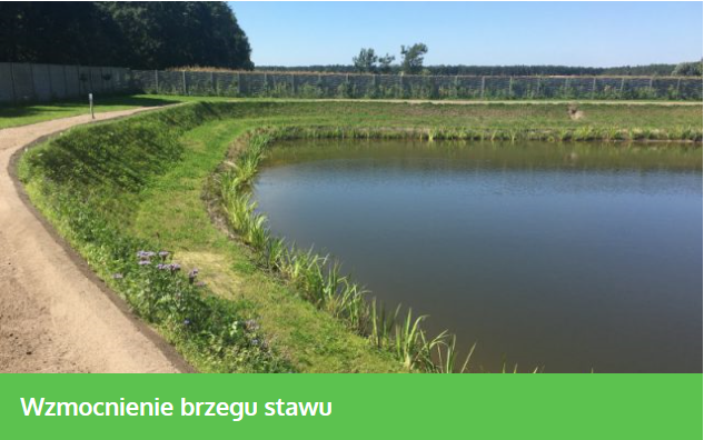ekokratka realizacje